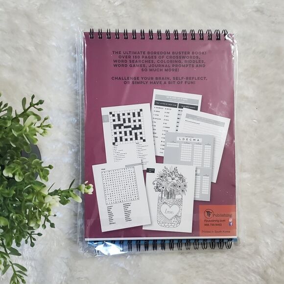 TFI Publishing Brain Teasers and Activity Books - Bundle Of 2 - Picture 2 of 5